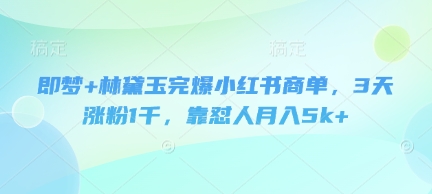 即梦+林黛玉完爆小红书商单，3天涨粉1千，靠怼人月入5k+-小白网创