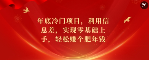 年底冷门项目，利用信息差，实现零基础上手，轻松赚个肥年钱【揭秘】-小白网创