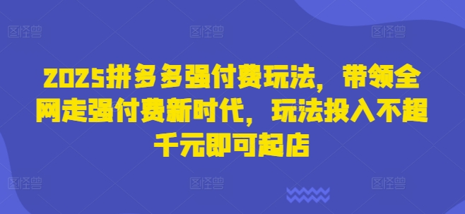 2025拼多多强付费玩法，带领全网走强付费新时代，玩法投入不超千元即可起店-小白网创