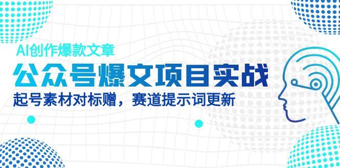 （14709期）公众号爆文项目实战，AI创作爆款文章，起号素材对标赠（附赛道AI提示词）-小白网创