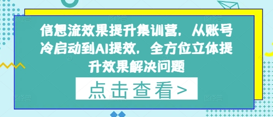 信息流效果提升集训营，从账号冷启动到AI提效，全方位立体提升效果解决问题-小白网创