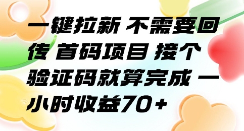一键拉新 不需要回传 首码项目 接个验证码就算完成 一小时收益70+【揭秘】-小白网创