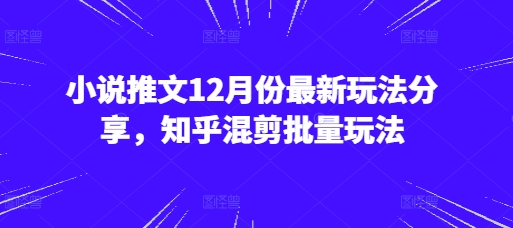 小说推文12月份最新玩法分享，知乎混剪批量玩法-小白网创