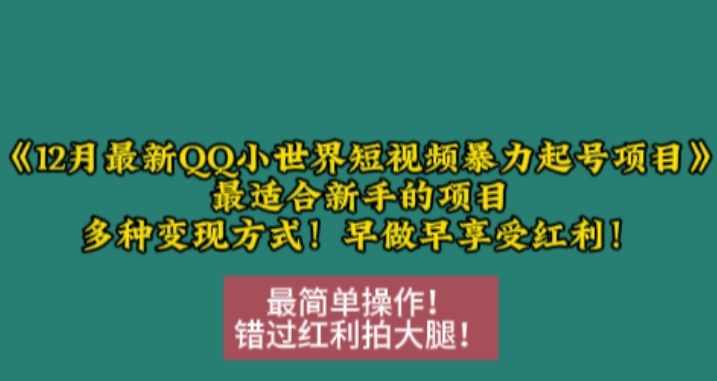 12月最新QQ小世界短视频暴力起号项目，最适合新手的项目，多种变现方式-小白网创