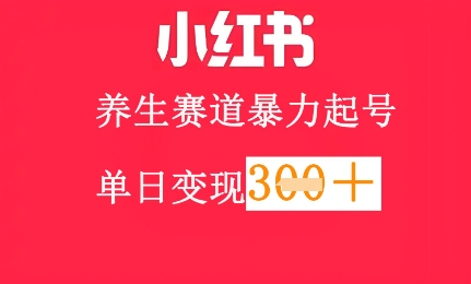 小红书养生赛道，暴力起号，轻松日入3张+-小白网创