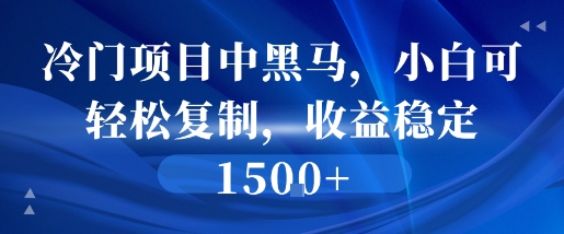 冷门项目中黑马，小白可轻松复制，收益稳定1.5k-小白网创