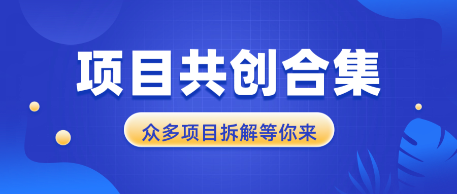 （13778期）项目共创合集，从0-1全过程拆解，让你迅速找到适合自已的项目-小白网创