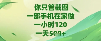 你只管截图，一部手机在家做，苹果安卓都可以，一天5张+【揭秘】-小白网创