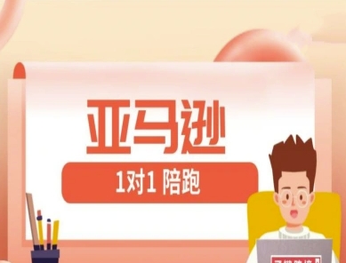 亚马逊1对1陪跑课(FBA/FBM精铺)跨境亚马逊教程-小白网创