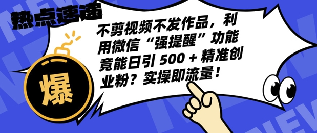 不剪视频不发作品，视频号私信日引 500 + 精准创业粉?实操即流量!-小白网创
