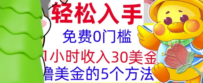 免费撸美刀的5个方法，1小时收入30美刀，0门槛，轻松入手-小白网创