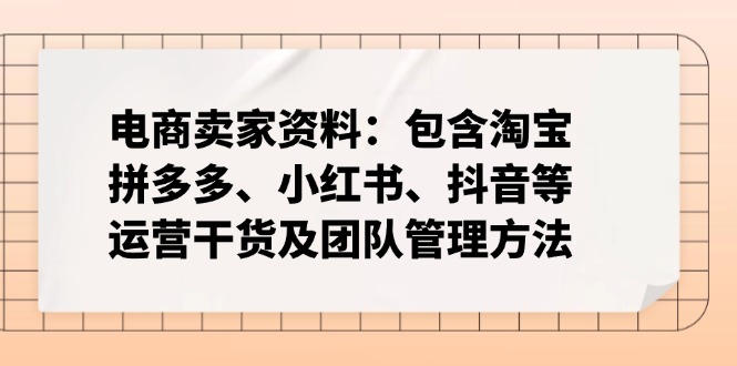 （14354期）电商卖家资料：包含淘宝、拼多多、小红书、抖音等运营干货及团队管理方法-小白网创