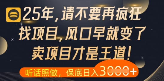 什么？25年你还在疯狂找项目做，醒醒吧，看完这些你全都懂了【揭秘】-小白网创
