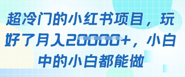 超冷门的小红书项目，玩好了月入过1w，小白中的小白都能做-小白网创