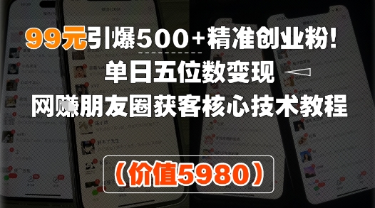 99元引爆500+精准创业粉！单日五位数变现，网创朋友圈获客核心技术教程-小白网创