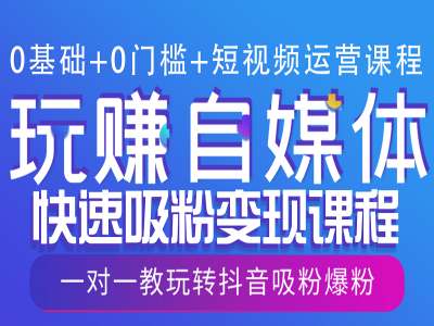 0基础+0门槛+短视频运营课程，玩赚自媒体快速吸粉变现课程，一对一教玩转抖音吸粉爆粉-小白网创