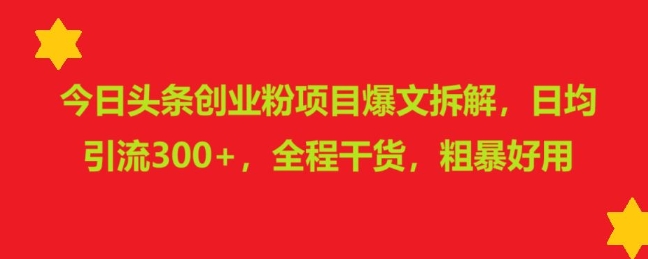 今日头条创业粉项目爆文拆解，日均引流300+，全程干货，粗暴好用-小白网创