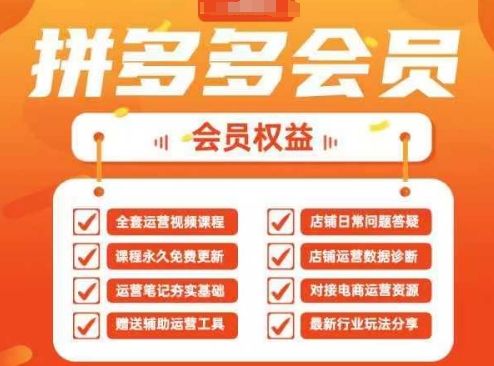 2025拼多多运营实战课，40节全流程教学，覆盖拼多多运营全链路-小白网创
