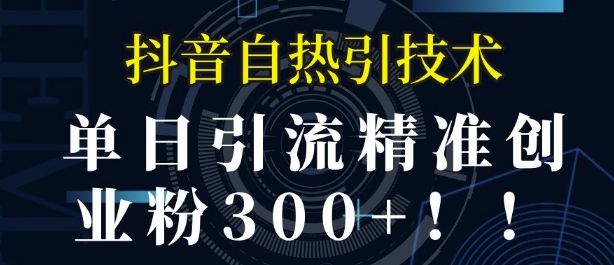 抖音自热引流，单日引流精准创业粉300+-小白网创