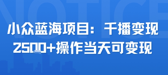 小众蓝海项目，千播变现2.5k+操作当天可变现-小白网创