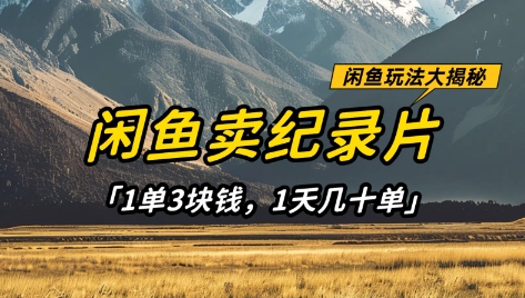 闲鱼卖纪录片1单3块钱，1天几十单，项目稳定有潜力-小白网创