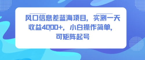 风口信息差蓝海项目，实测一天收益4k+，小白操作简单，可矩阵起号-小白网创