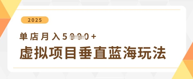 虚拟项目垂直玩法，实现单店月入5k+-小白网创