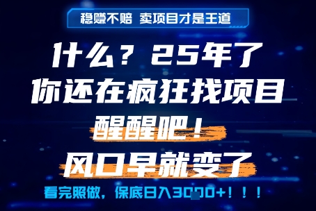 什么？25年你还在疯狂找项目做，醒醒吧，看完这些你全都懂了！【揭秘】-小白网创