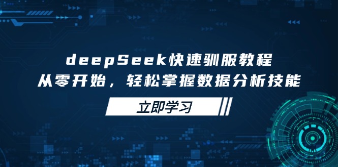 （14536期）deepSeek快速驯服教程，从零开始，轻松掌握数据分析技能-小白网创