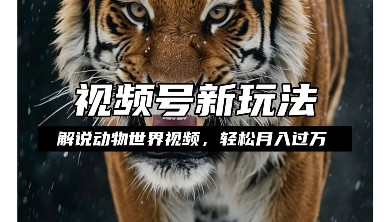 利用动物世界解说视频，赚分成计划收益，轻松月入过W，操作简单【揭秘】-小白网创