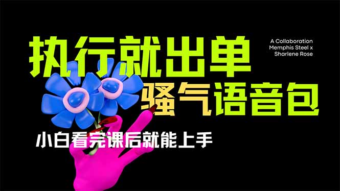 （14170期）爆火全网的开车导航骚气语音包,只要执行就出单，小白看完课程就能实操…-小白网创