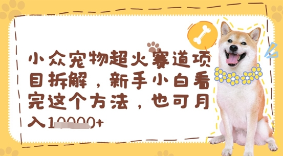 小众宠物超火赛道项目拆解，新手小白看完这个方法，也可月入过w-小白网创