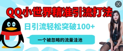 QQ私域引流平台，流量年轻且巨大，实操单日引流100+创业粉，月精准变现1W+-小白网创