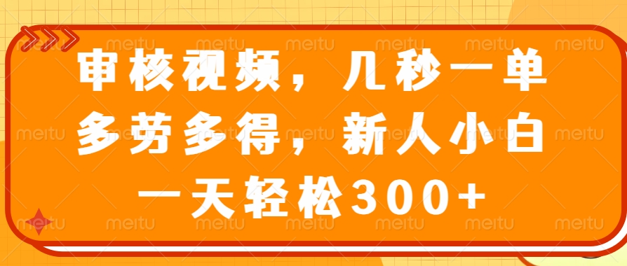 （14294期）审核视频，几秒一单，多劳多得，新人小白一天轻松300+-小白网创