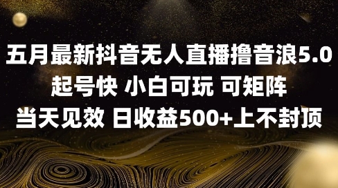 2025五月最新无人直播撸音浪单日产出5张+实操教程【揭秘】-小白网创