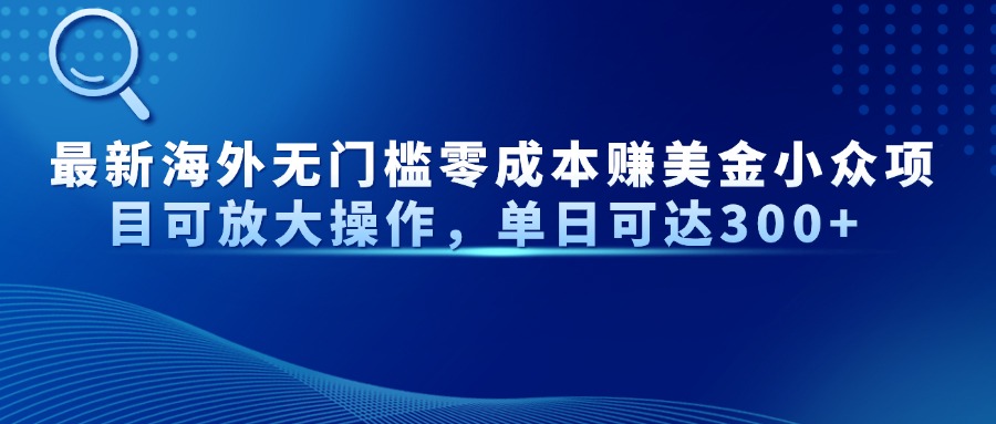 （14542期）最新海外无门槛零成本赚美金小众项目可放大操作，单日可达300+ -小白网创