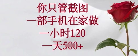 你只管截图，一部手机在家做，一小时120.一天5张【揭秘】-小白网创