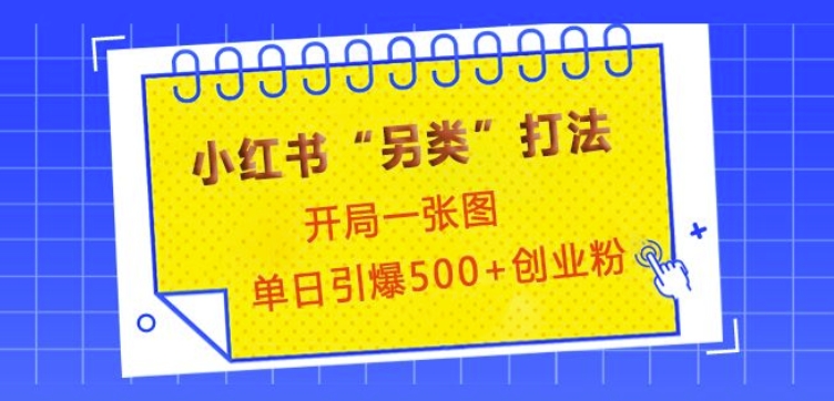 小红书“另类”打法，开局一张图，单日引爆500+精准创业粉【揭秘】-小白网创