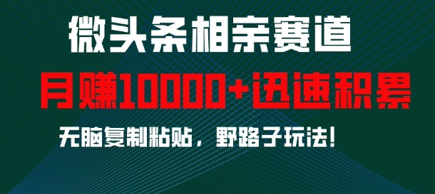 微头条相亲赛道，迅速积累，无脑复制粘贴，野路子玩法，月入1w-小白网创