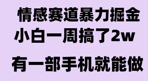 情感暴力掘金项目，新人操作一周挣了2W，长期稳定小白可做【揭秘】-小白网创