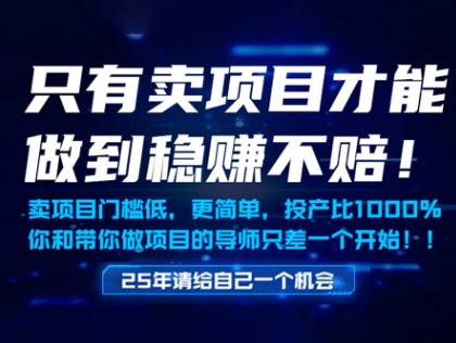 只有卖项目才能做到稳挣不赔，门槛低，更简单，你也可以年入百个W【揭秘】-小白网创