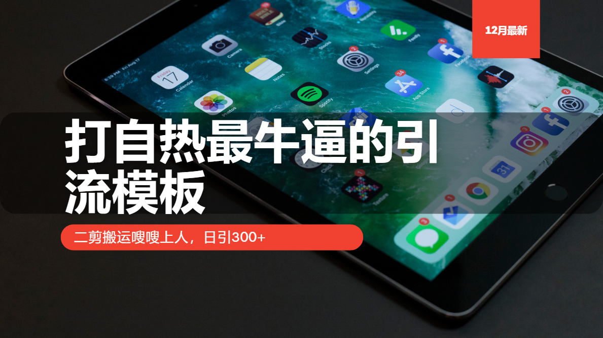 （13654期）打自热最牛逼的引流模板，二剪搬运嗖嗖上人，日引300+-小白网创
