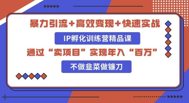 知识付费独家玩法：精准引流+高效变现，简单复制成功模式，最新IP共创导师训练营玩法-小白网创