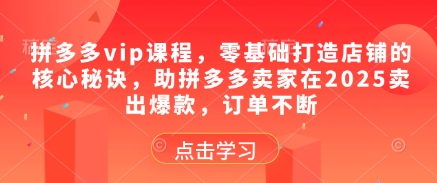 拼多多vip课程，零基础打造店铺的核心秘诀，助拼多多卖家在2025卖出爆款，订单不断-小白网创