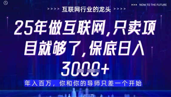 什么！25年你还在找项目做？风口早就变了，卖项目才是稳挣不赔【揭秘】-小白网创