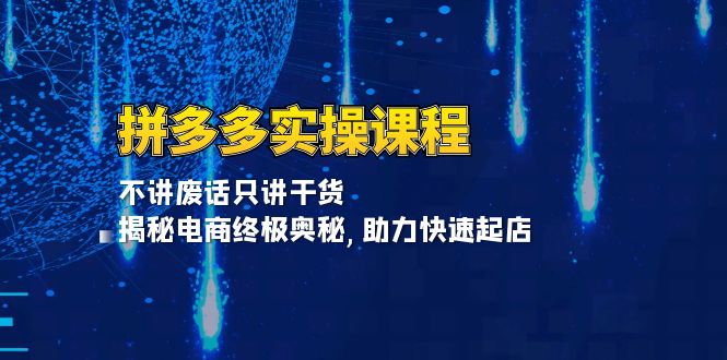 （13577期）拼多多实操课程：不讲废话只讲干货, 揭秘电商终极奥秘,助力快速起店-小白网创