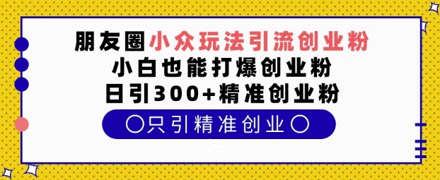 朋友圈小众玩法引流创业粉，小白也能打爆创业粉，日引300+精准创业粉【揭秘】-小白网创