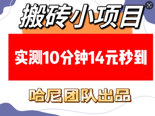 搬砖小项目，实测10分钟14元秒到，每天稳定几张(赠送必看稳定)-小白网创
