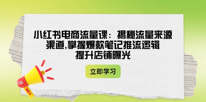 （14318期）小红书电商流量课：揭秘流量来源渠道,掌握爆款笔记推流逻辑,提升店铺曝光-小白网创