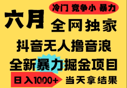 25年6月高爆抖音无人直播最新撸音浪掘金项目，小白可做，无脑日入1k+，门槛低可批量矩阵【揭秘】-小白网创